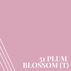 Plum blossom (T) (PR51)