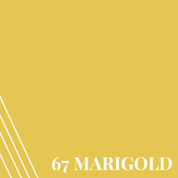 Marigold (PR67)