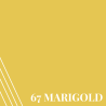 Marigold (PR67)