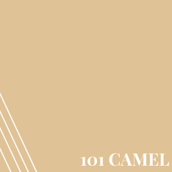 Camel (PR101)
