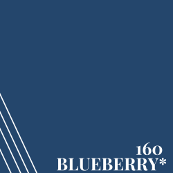 Blueberry * (PR160)