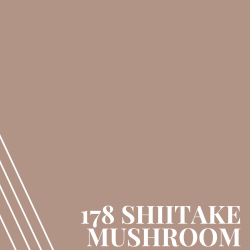Shiitake Mushroom (PR178)