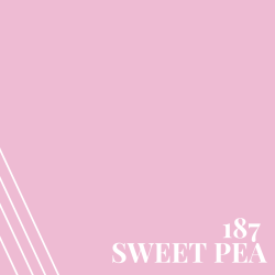 Sweet Pea (PR187)