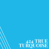 424 True Turquoise