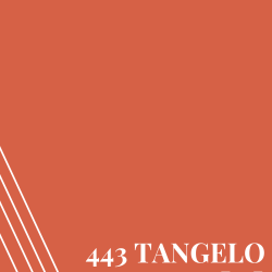 443 Tangelo