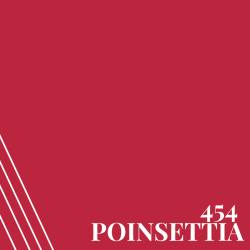 454 Poinsettia