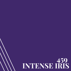 459 Intense Iris