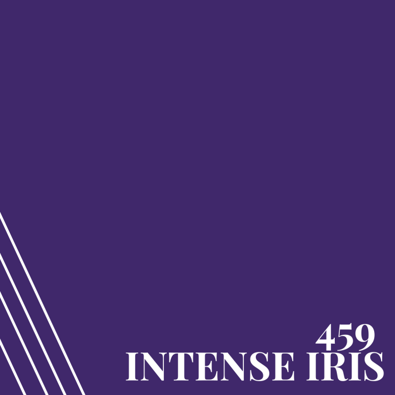 459 Intense Iris