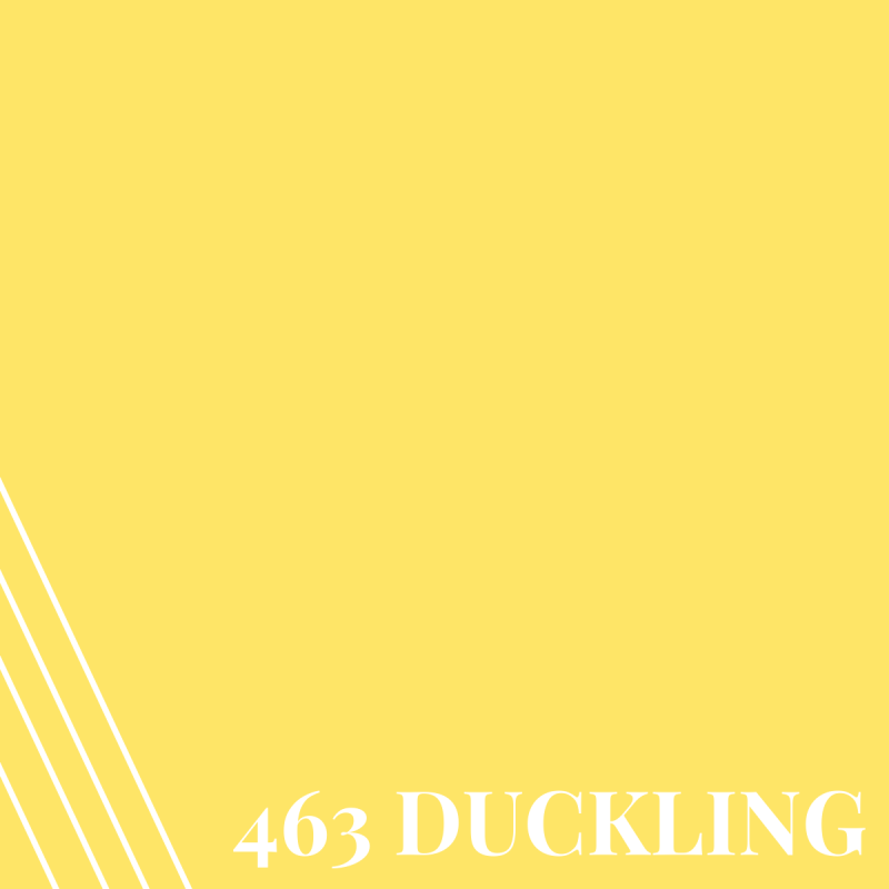 463 Duckling