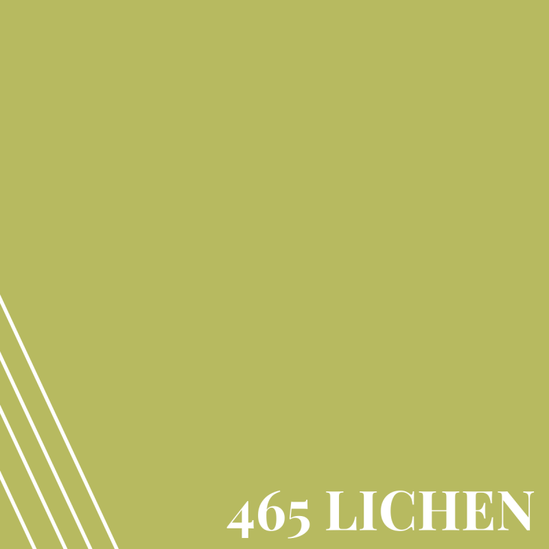 465 Lichen