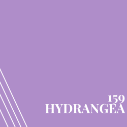 Hydrangea (PR159)
